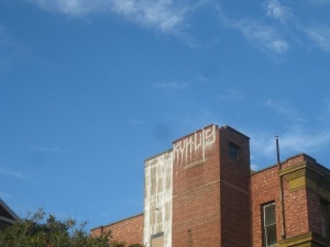IMG_1516