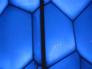 IMG_5061