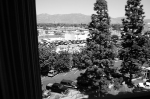 P1060139