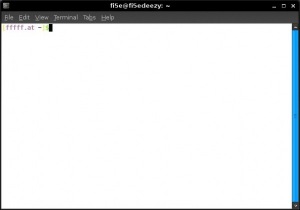 terminal_fffffat