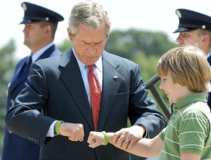 bush-fist