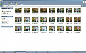 1_folder_of_frames