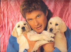 dogs