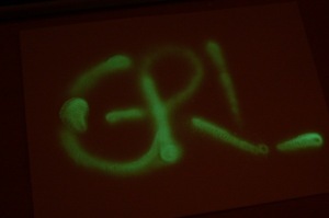 glow-dark-paint