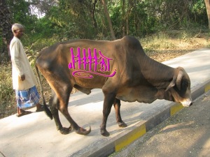 FATCOW_web