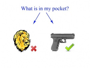 mypocket
