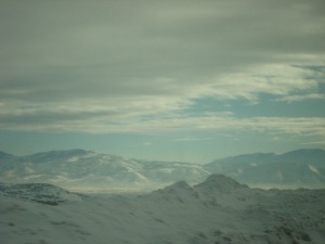 DSC00779