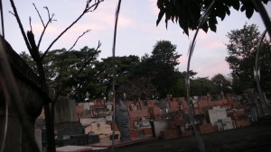 P1030749