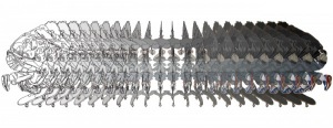 37