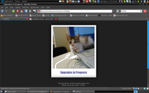 Screenshot-2