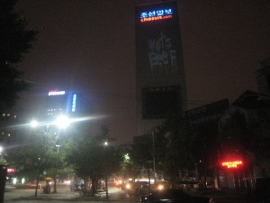 IMG_3931