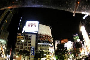 a_IGP3443