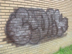 IMG_1253