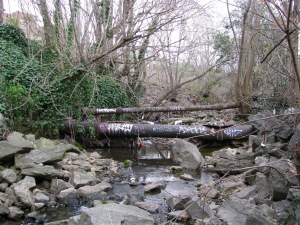 IMG_1261