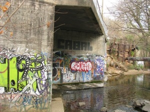 IMG_1285